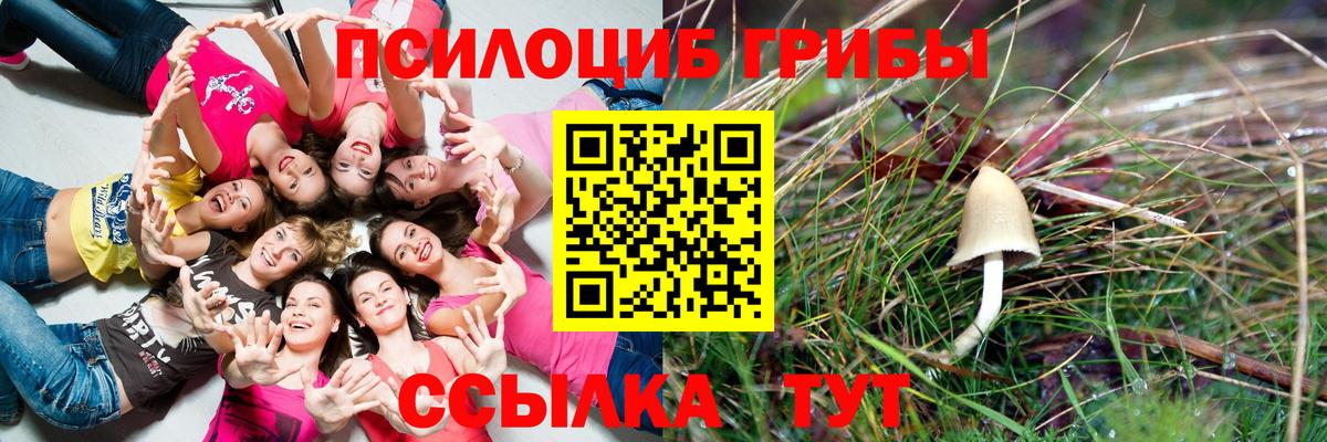 Псилоцибиновые грибы Magic Shrooms  Вход с VPN  Новотроицк 